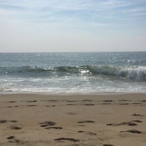 Meet your Posher, Bess